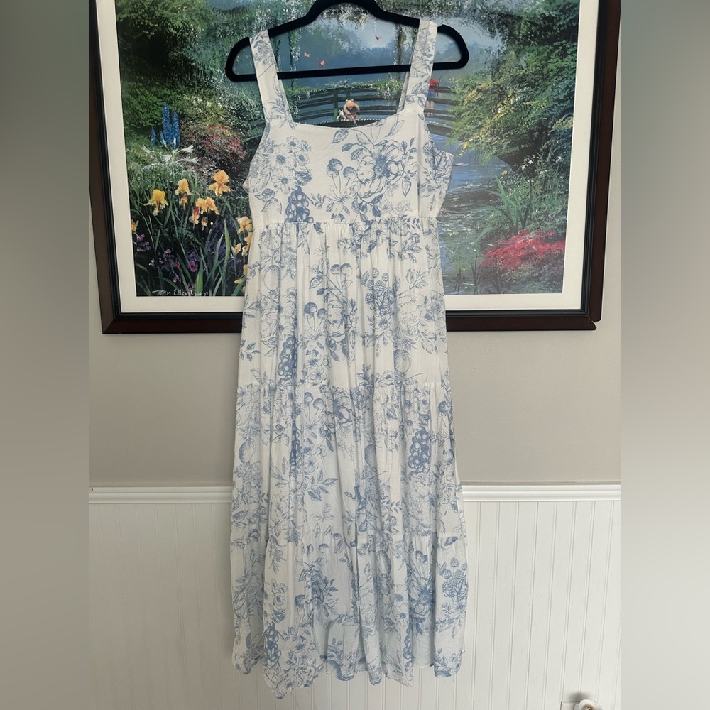 Blu Pepper Floral Blue and White Maxi Dress